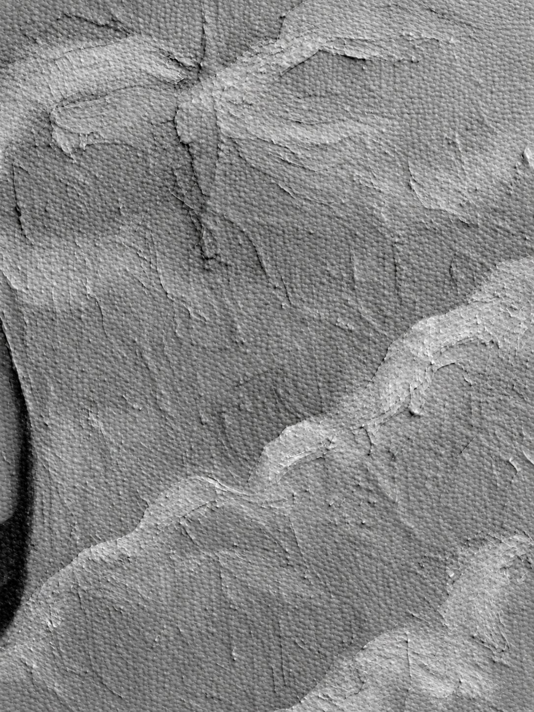 A close detail of the painted surface of Virtual Reality, showing canvas weave and ridges of paint.
